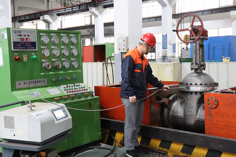 High pressure Cryogenic gas testing